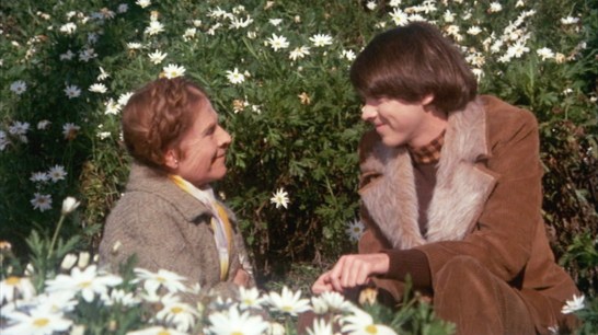 harold-and-maude